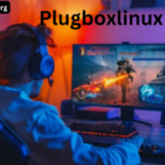 plugboxlinux